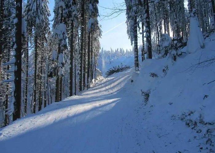 Hostel Osrodek Narciarski Stozek Witold Pruski Wisla