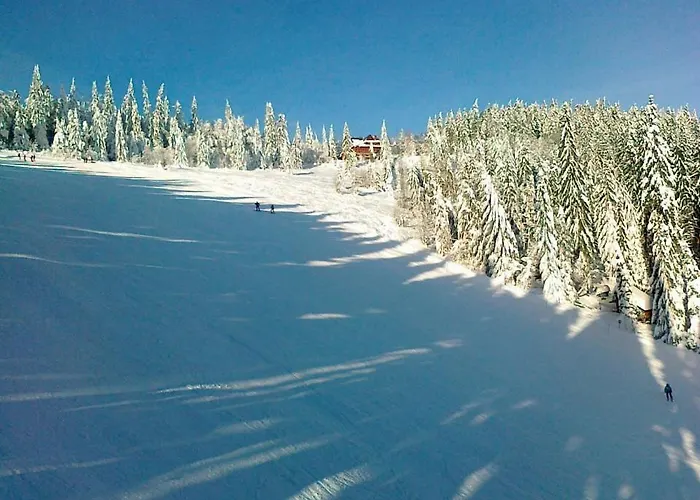 Hostel Osrodek Narciarski Stozek Witold Pruski Wisla