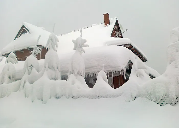 Hostel Osrodek Narciarski Stozek Witold Pruski *
